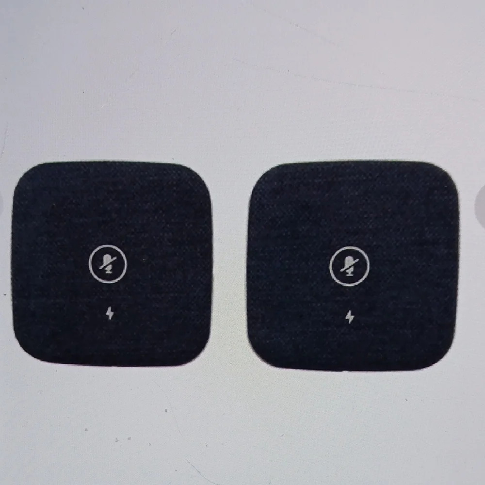 Wireless Dual Microphone Set with Charging Dock - Black and Gold